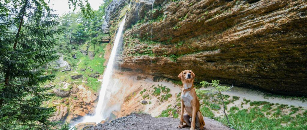 Der Peričnik-Wasserfall stürzt in eine grüne Schlucht, ein typischer Anblick bei einem Roadtrip in Slowenien